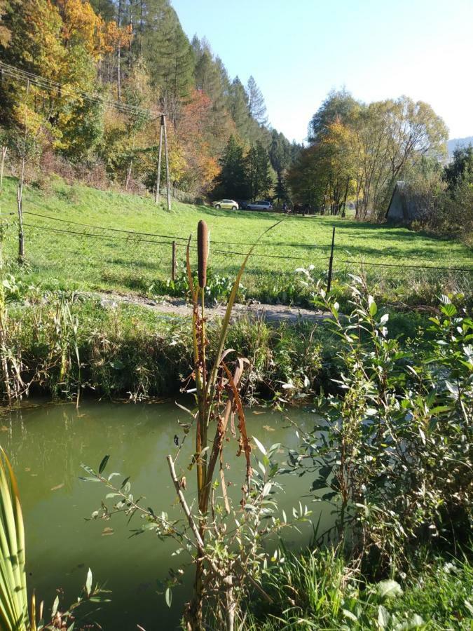 Noclegi Przy Szlaku Agroturystyka Zabnica Εξωτερικό φωτογραφία