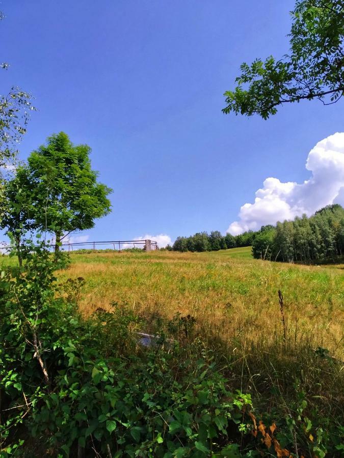 Noclegi Przy Szlaku Agroturystyka Zabnica Εξωτερικό φωτογραφία